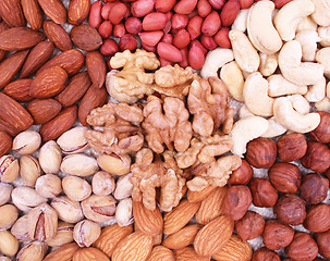 Image showing Assorted filbert, peanut, pistachios, walnut, almonds and hazeln