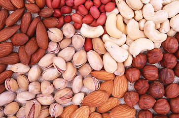 Image showing Assorted filbert, peanut, pistachios, almonds and hazelnuts 