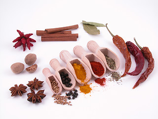 Image showing spices