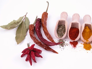 Image showing spices