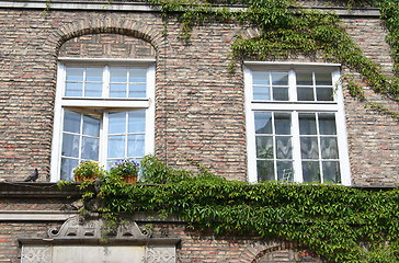 Image showing Poland. Gdansk city. Windows 