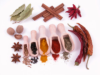 Image showing spices