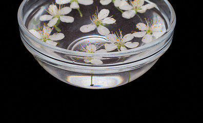 Image showing Bowl with flowers
