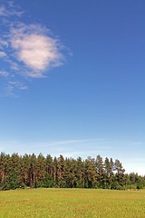 Image showing Blue Sky and Green Field at Summer