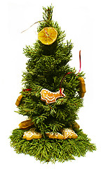 Image showing Small Chrismas Tree