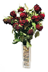 Image showing Dried roses