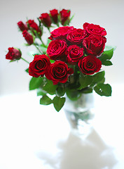 Image showing Red Roses