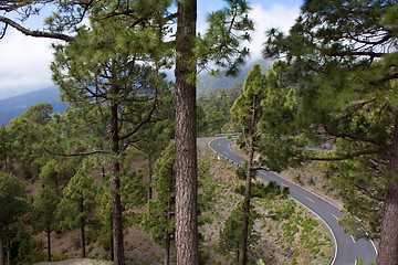 Image showing Curvy Mountain Road in La Palma