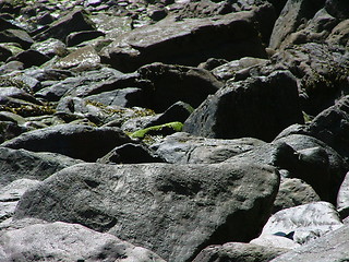 Image showing rocks01