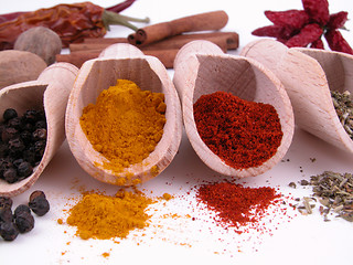 Image showing spices