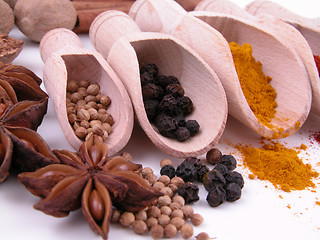 Image showing spices