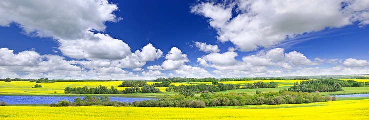 Image showing Prairie panorama in Saskatchewan, Canada