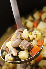 Image showing Beef stew in serving spoon