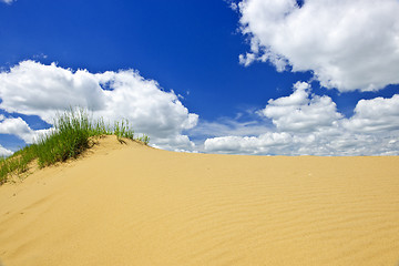 Image showing Desert landscape in Manitoba, Canada