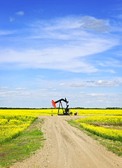 Image showing Nodding oil pump in prairies