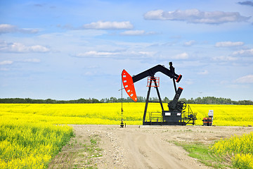 Image showing Nodding oil pump in prairies