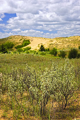 Image showing Sand dunes in Manitoba