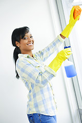 Image showing Smiling woman cleaning windows