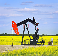 Image showing Nodding oil pump in prairies