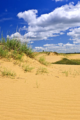 Image showing Desert landscape in Manitoba, Canada