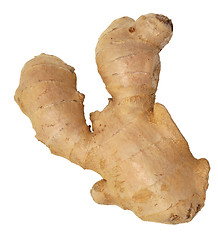 Image showing ginger