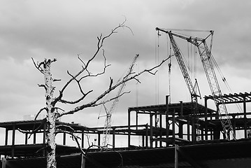 Image showing construction yard with crane against the sky