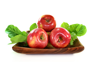 Image showing Apples