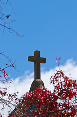 Image showing cross through red autumn leaves