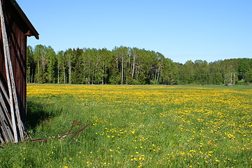 Image showing Summer landscape