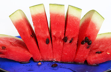 Image showing Slices of juicy watermelon served on blue plate