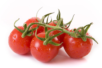 Image showing Tomatoes