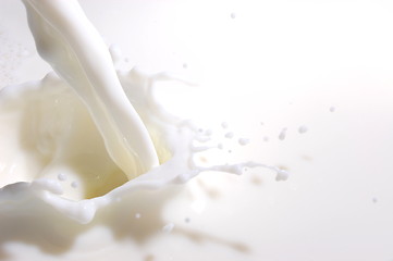 Image showing milk splash