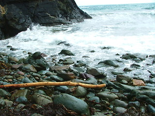 Image showing shore13