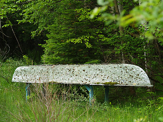 Image showing canoe covered with algae