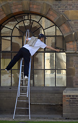 Image showing Cleaning windows