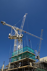 Image showing Three tower cranes