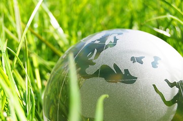 Image showing glass globe or earth in grass