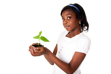 Image showing Girl with plant in hand