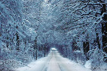 Image showing country road in winter