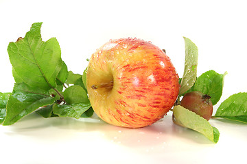 Image showing Apple with leaves