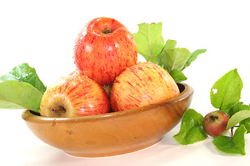 Image showing Apples with leaves