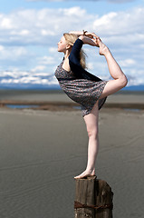 Image showing girl gymnast