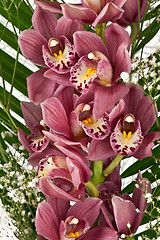 Image showing bouquet of purple orchids