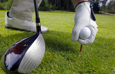 Image showing hand placing a tee with golf ball 