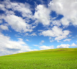 Image showing green hill with grass under sky