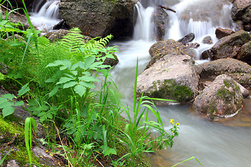 Image showing waterfall stream in summer woods