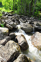 Image showing waterfall in summer woods