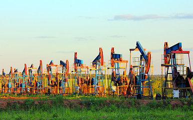 Image showing working oil pumps in row