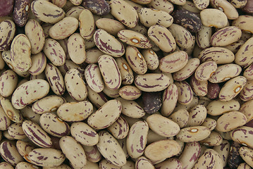 Image showing Beans as a background