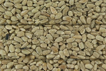 Image showing Sunflower seeds as a background